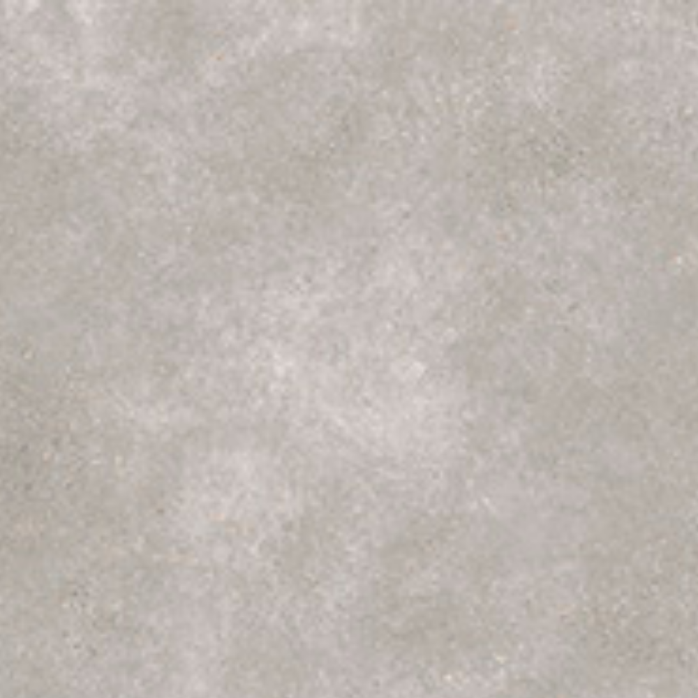 Koru Grey Matt