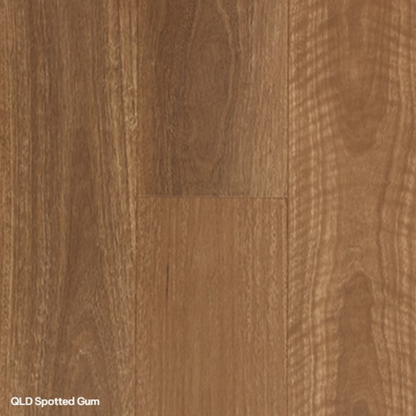 Aspire SPC Qld Spotted Gum