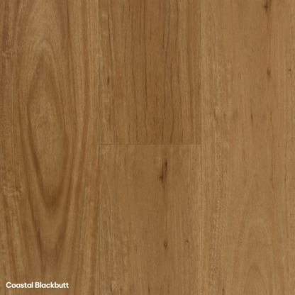 Aspire SPC Coastal Blackbutt