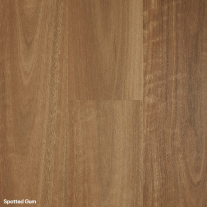 Iconic WPC Spotted Gum