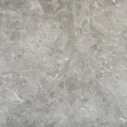 Endless Polaris Polished
