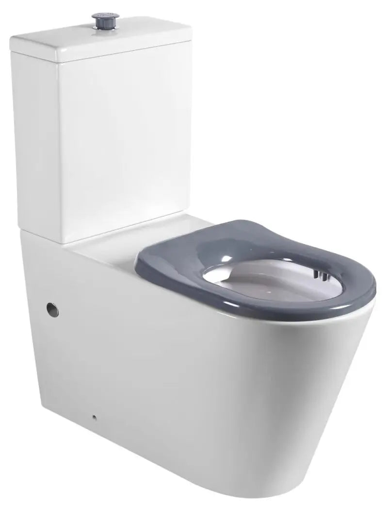 Cara Care Back To Wall Rimless Toilet Suite